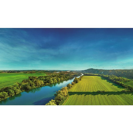 Carlsberg Danish Pilsner Lager Beer 20 x 440ml Can