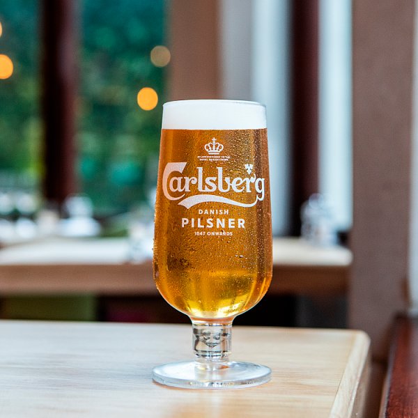 Carlsberg Danish Pilsner Lager Beer 20 x 440ml Cans