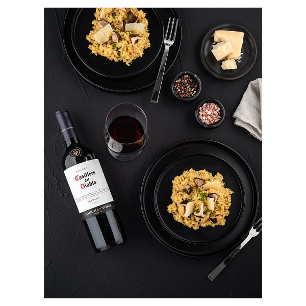 Casillero del Diablo Merlot 6 x 75cl Bottles