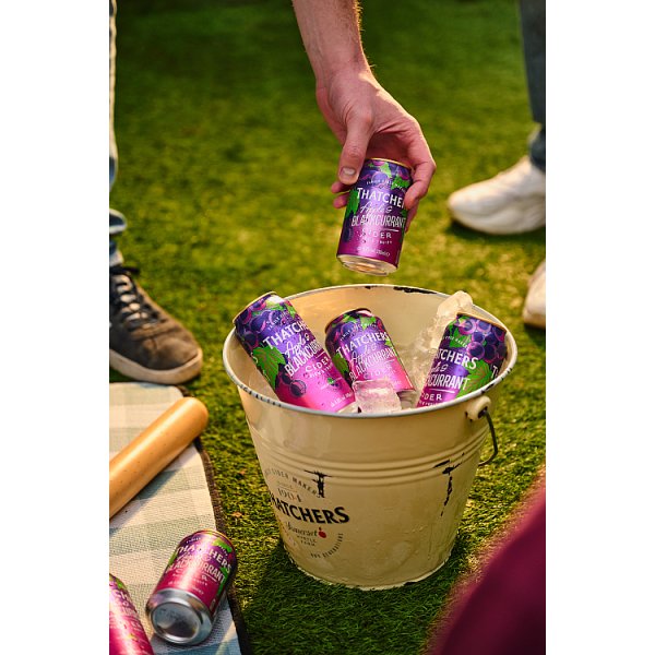 Thatchers Apple and Blackcurrant Cider 10 x 330ml